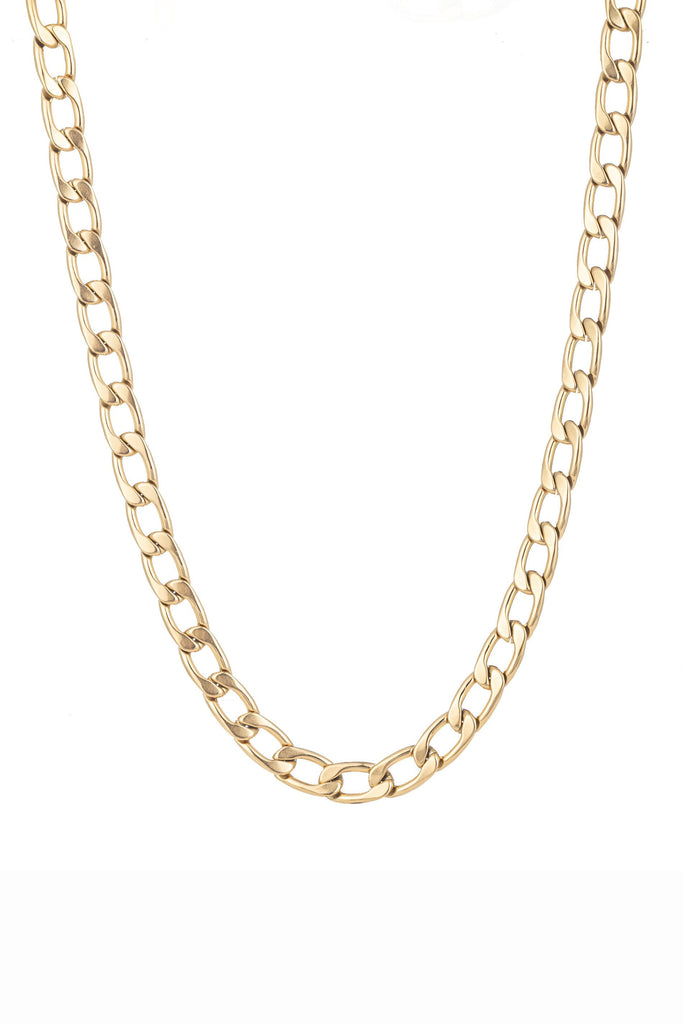 Chain link titanium necklace.